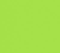 ADA30 LAQUE vert anis