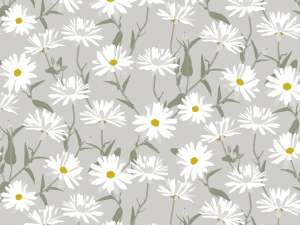 ADA18 SERENE FIELDS Gris